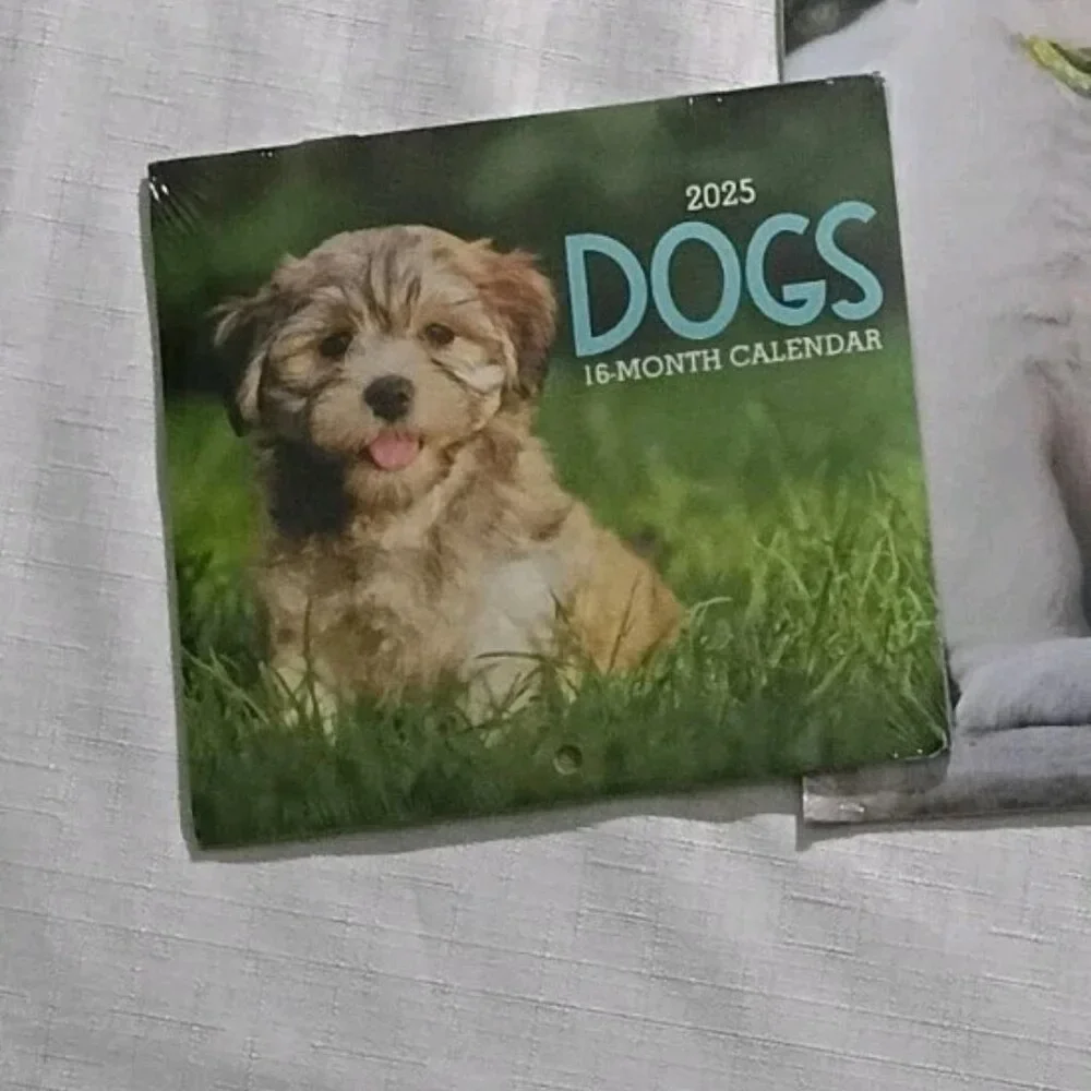 3 dog-themed calendars lot 2025 -2026 pocket planner 16-month 11x10